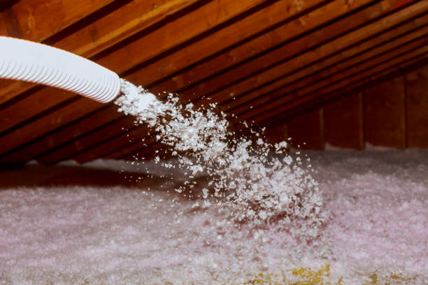 Best Home Insulation Services  in Santo Domingo Pueblo, NM