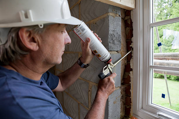Best Spray Foam Insulation  in Santo Domingo Pueblo, NM