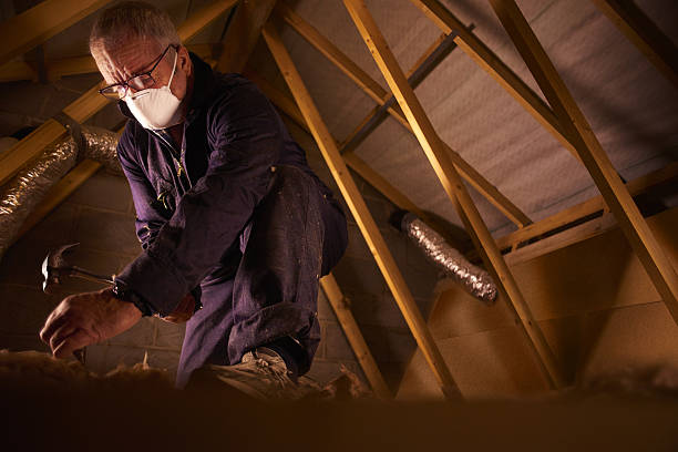 Best Attic Insulation Installation  in Santo Domingo Pueblo, NM